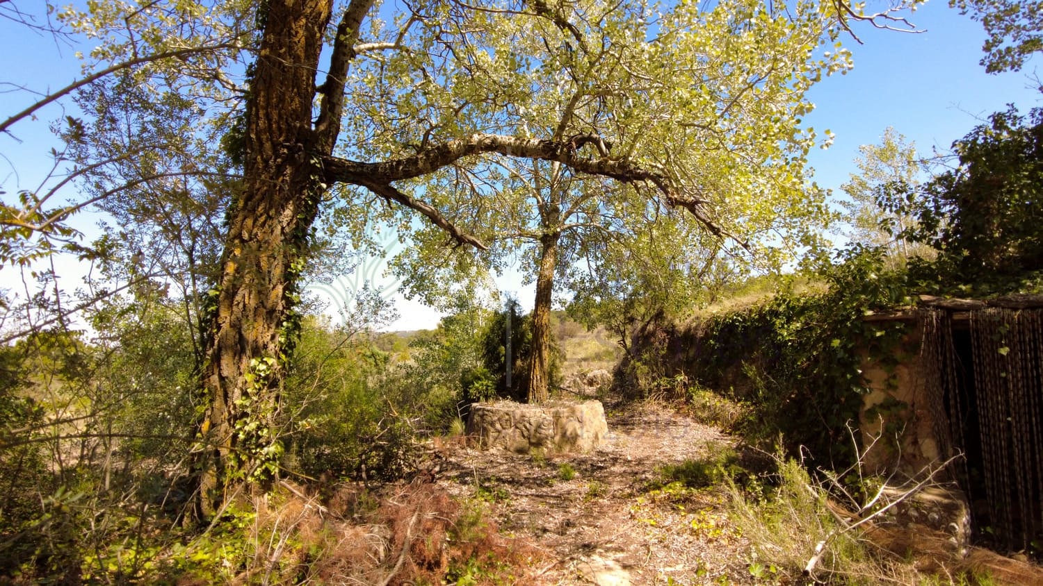 4 soveværelse Villa til salg i Almansa - € 179.950 (Ref: 8420875)