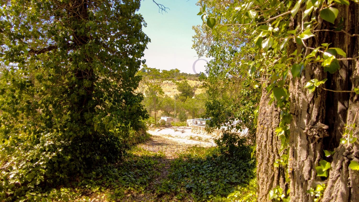 4 soveværelse Villa til salg i Almansa - € 179.950 (Ref: 8420875)