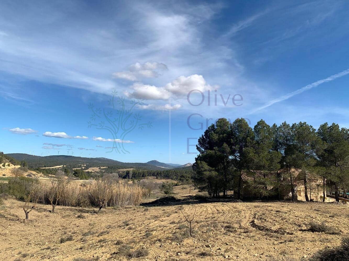 4 soveværelse Villa til salg i Almansa - € 179.950 (Ref: 8420875)