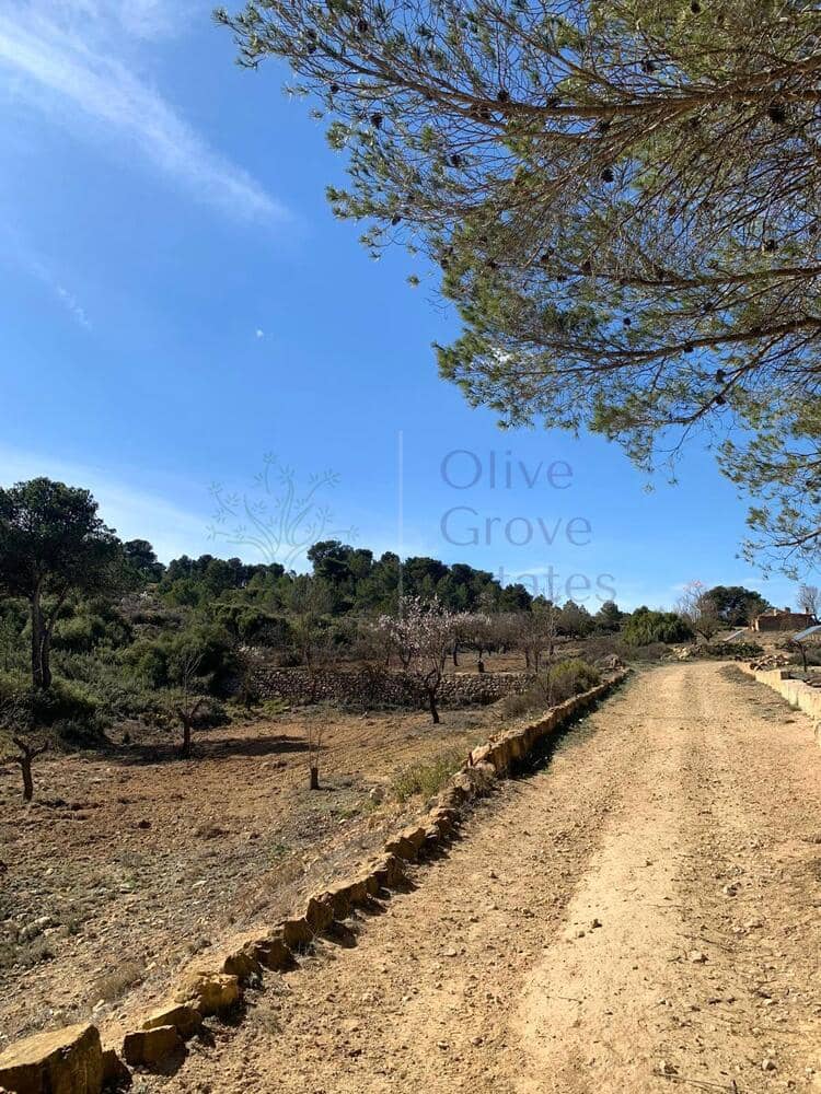 4 soveværelse Villa til salg i Almansa - € 179.950 (Ref: 8420875)