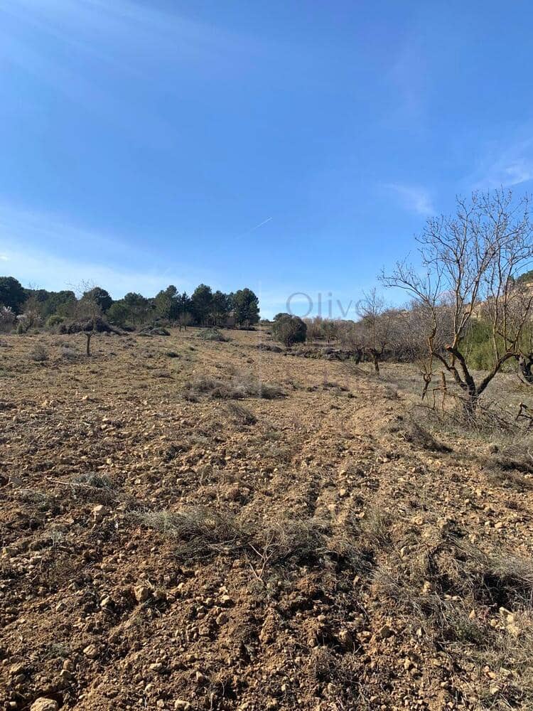 4 soveværelse Villa til salg i Almansa - € 179.950 (Ref: 8420875)