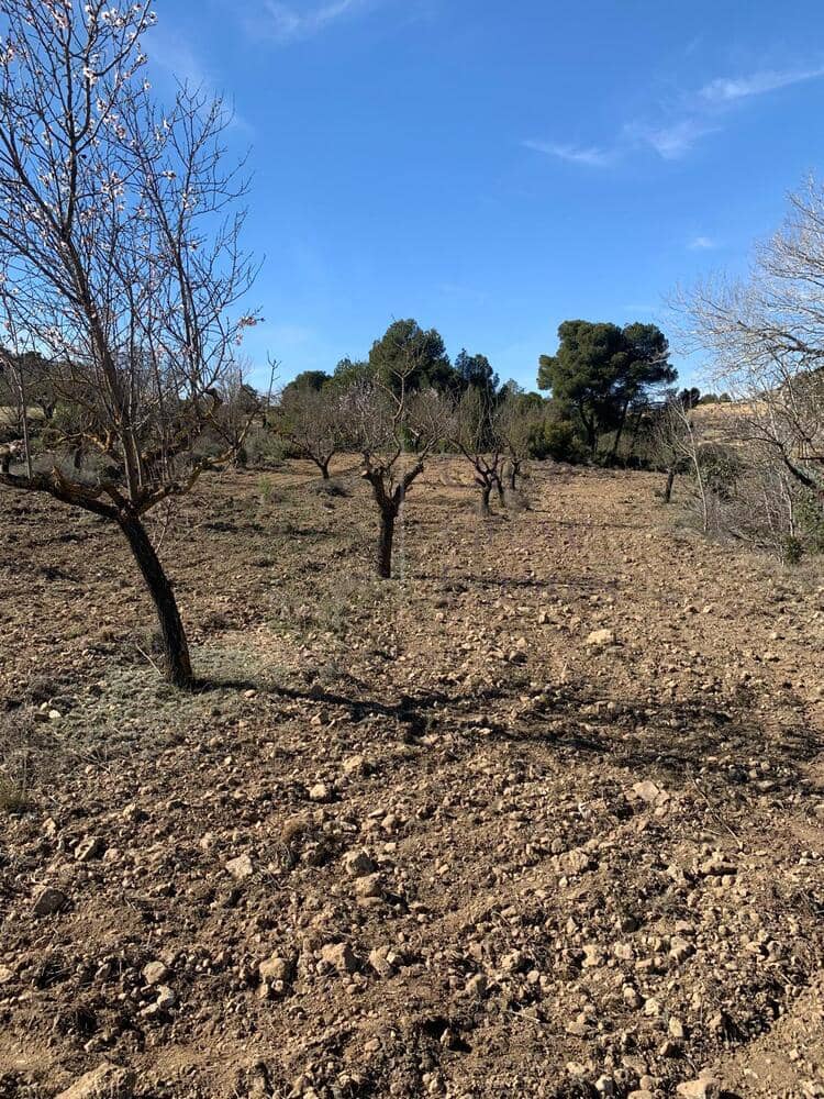 4 soveværelse Villa til salg i Almansa - € 179.950 (Ref: 8420875)