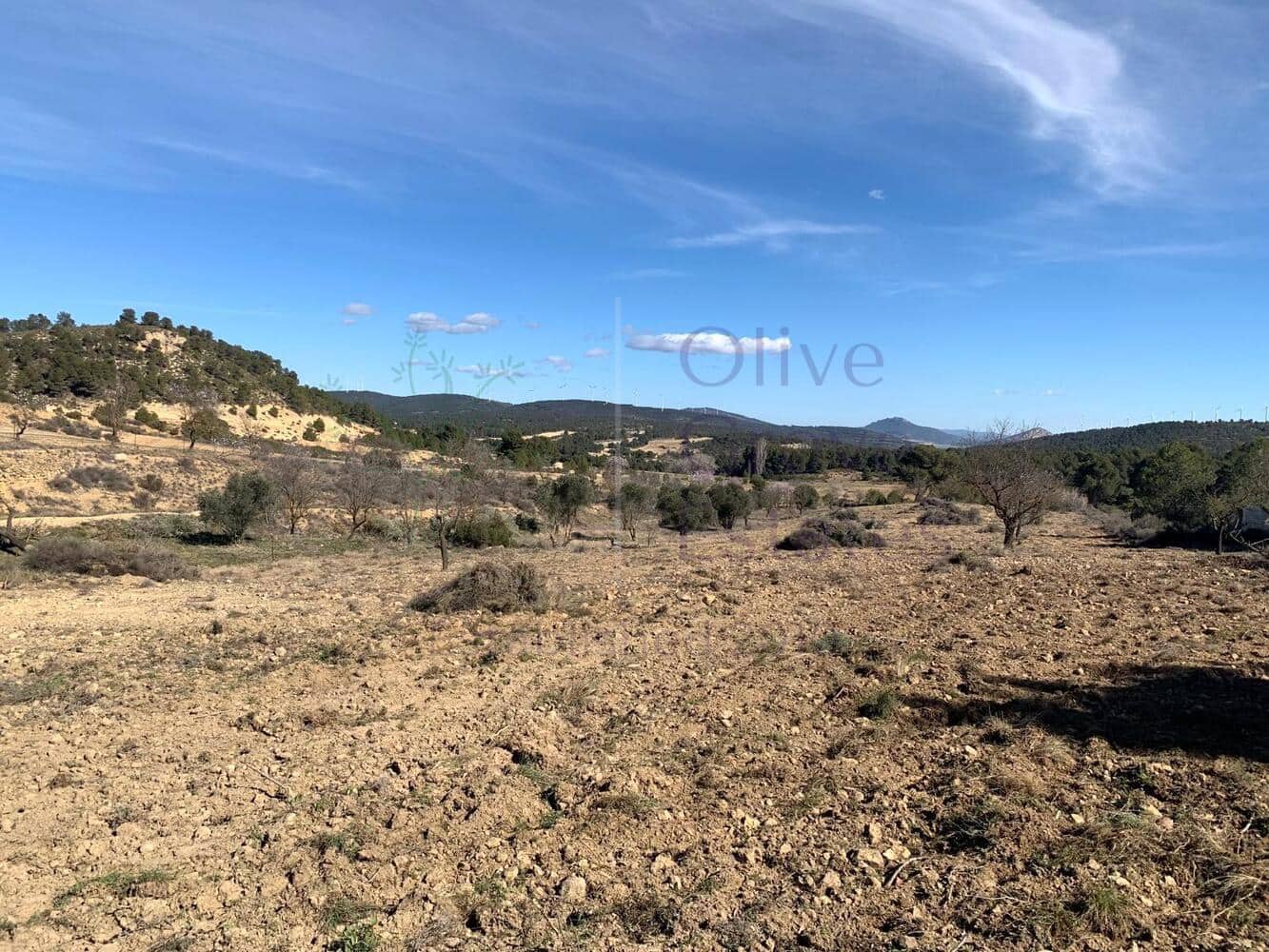 4 soveværelse Villa til salg i Almansa - € 179.950 (Ref: 8420875)