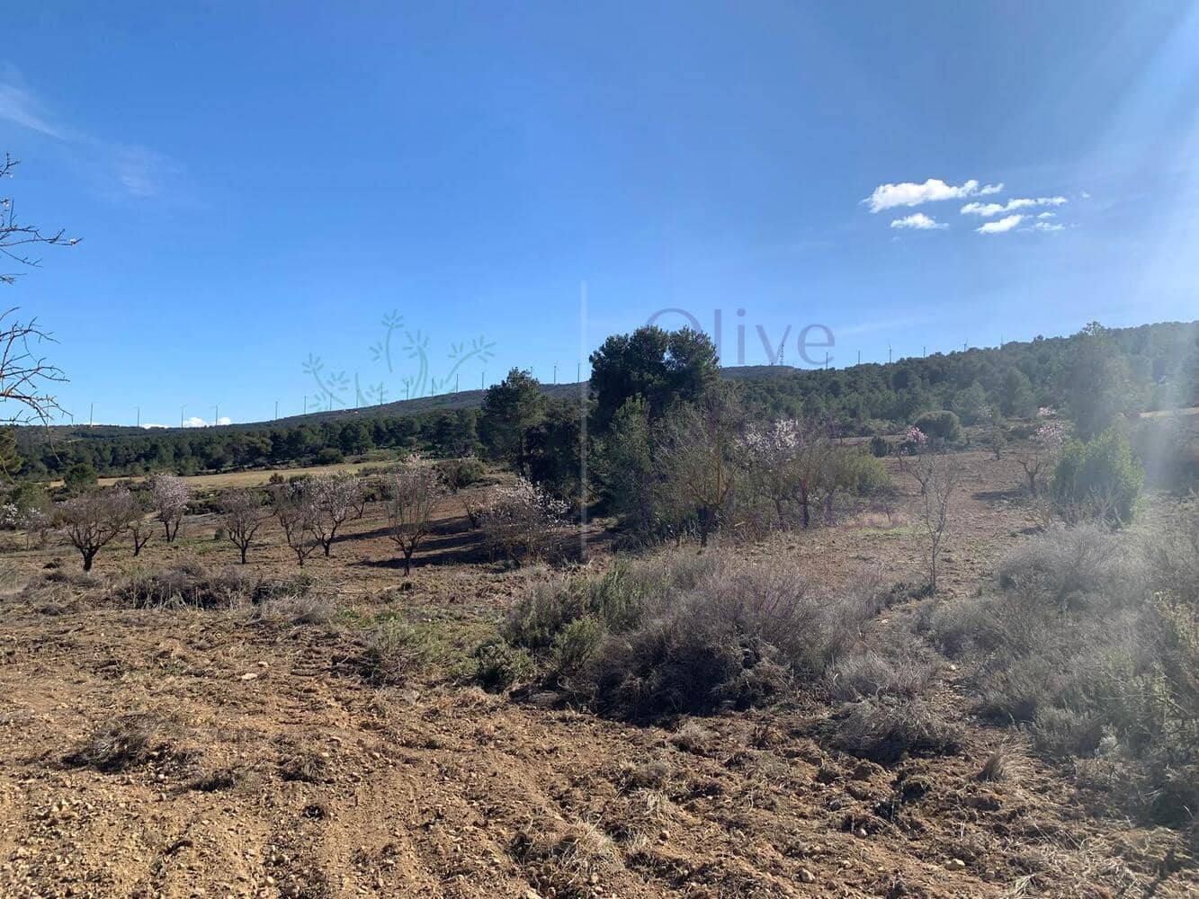 4 soveværelse Villa til salg i Almansa - € 179.950 (Ref: 8420875)