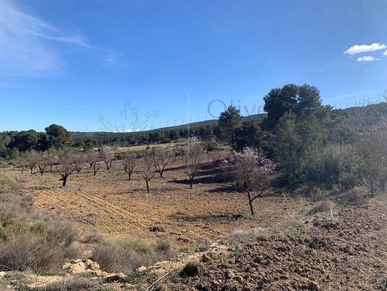 4 soveværelse Villa til salg i Almansa - € 179.950 (Ref: 8420875)