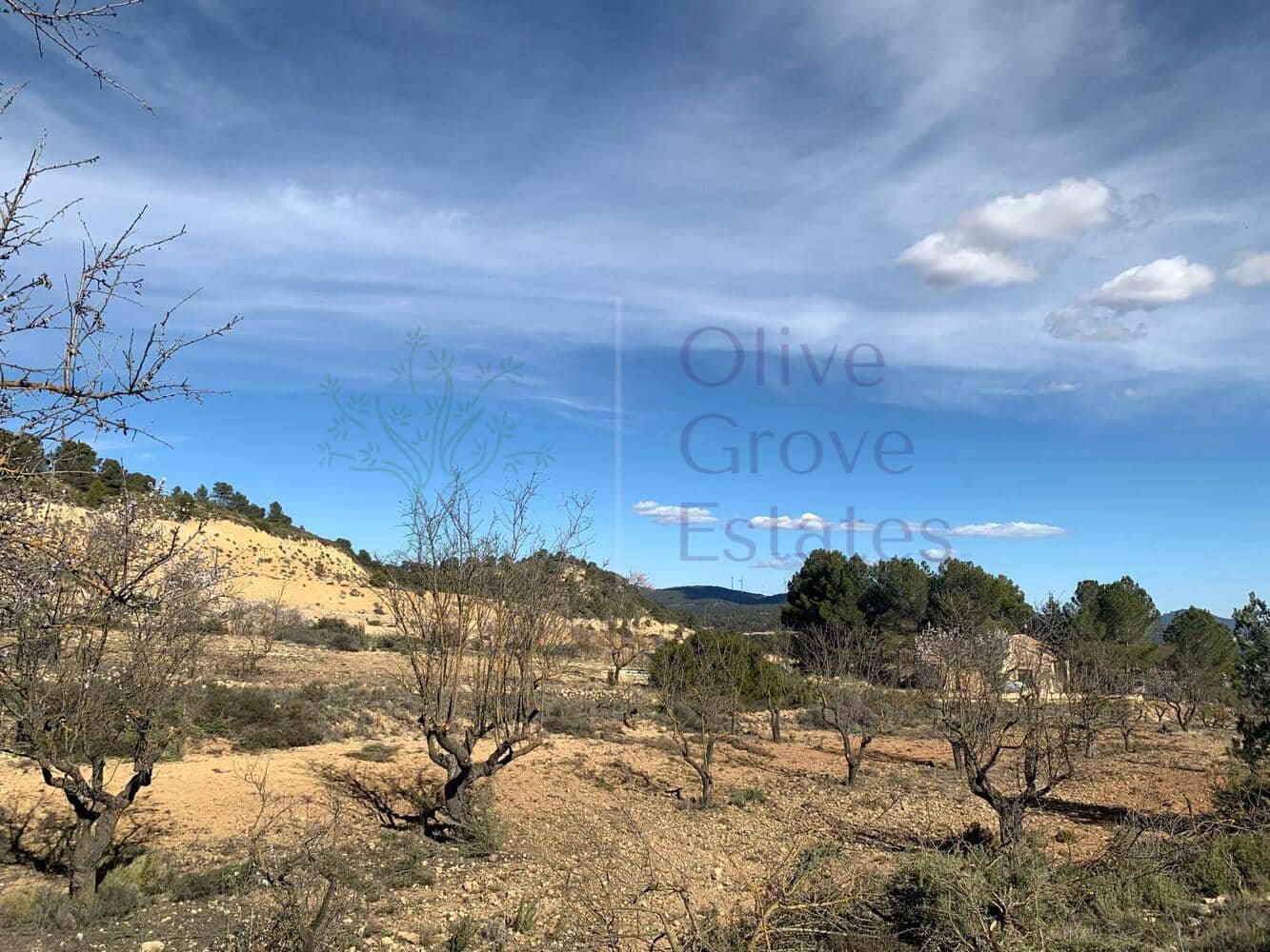 4 soveværelse Villa til salg i Almansa - € 179.950 (Ref: 8420875)