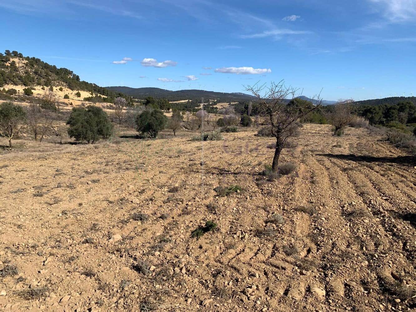 4 soveværelse Villa til salg i Almansa - € 179.950 (Ref: 8420875)