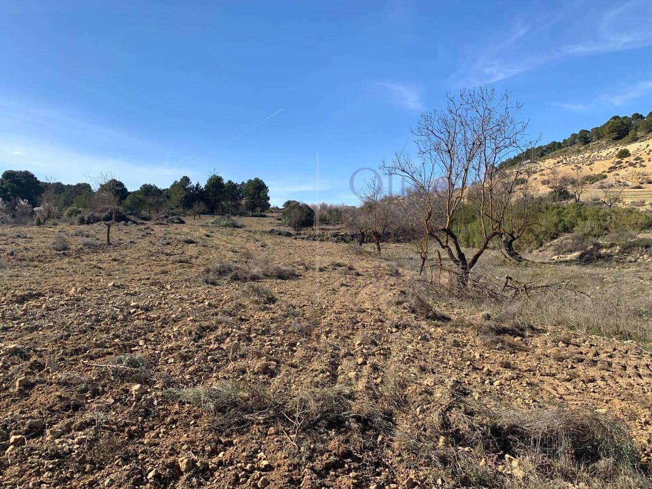 4 soveværelse Villa til salg i Almansa - € 179.950 (Ref: 8420875)