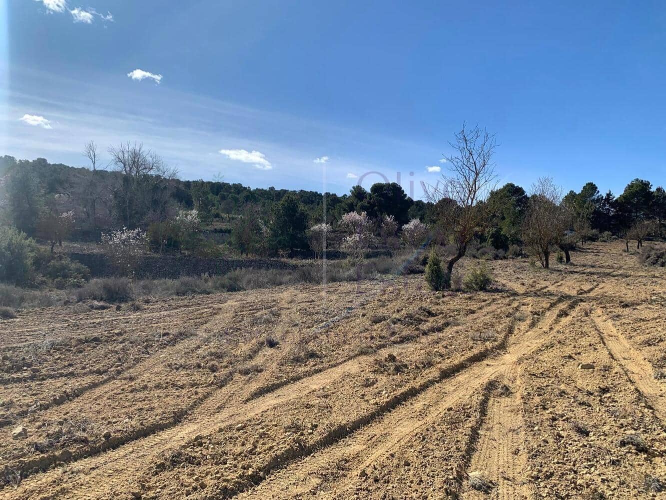 4 soveværelse Villa til salg i Almansa - € 179.950 (Ref: 8420875)