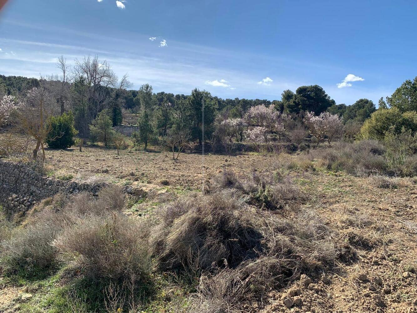 4 soveværelse Villa til salg i Almansa - € 179.950 (Ref: 8420875)