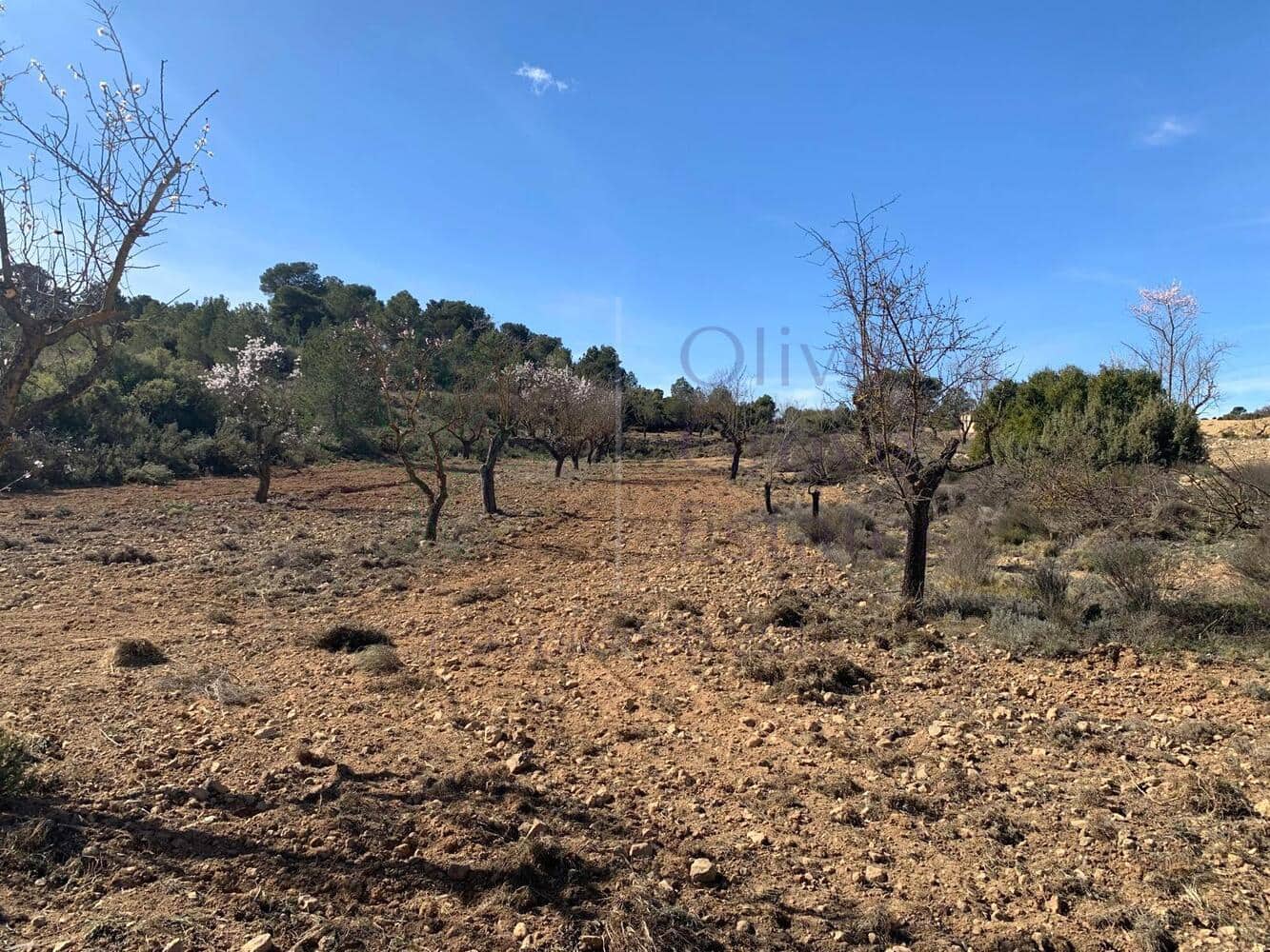 4 soveværelse Villa til salg i Almansa - € 179.950 (Ref: 8420875)