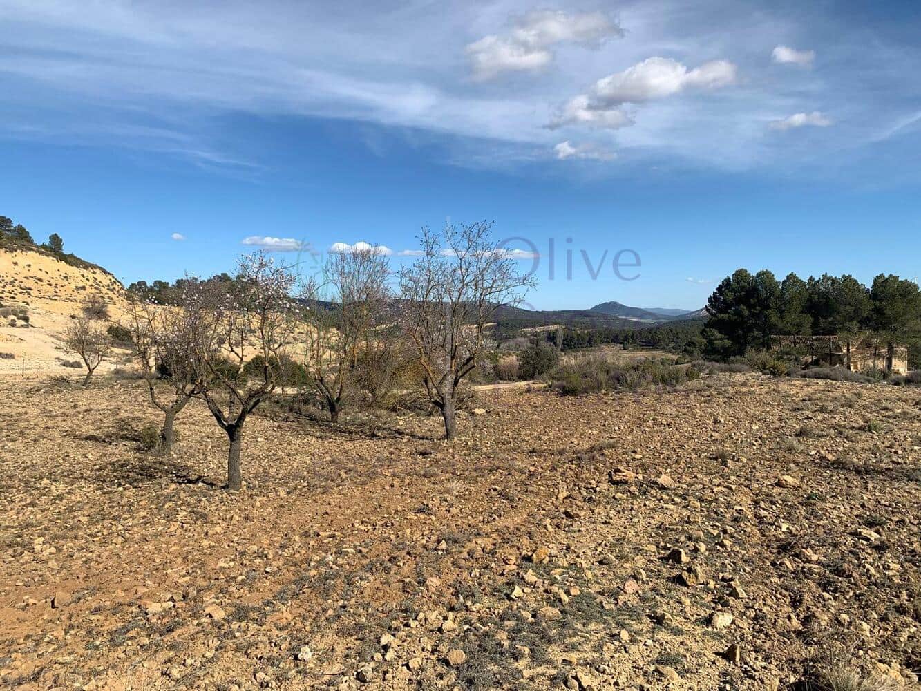 4 soveværelse Villa til salg i Almansa - € 179.950 (Ref: 8420875)