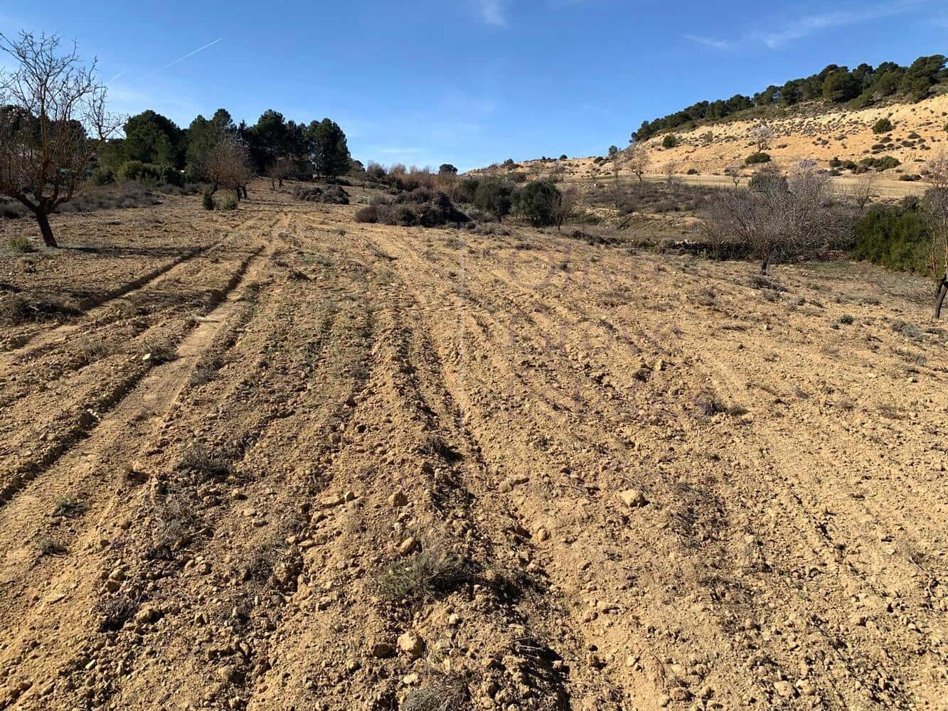 4 soveværelse Villa til salg i Almansa - € 179.950 (Ref: 8420875)