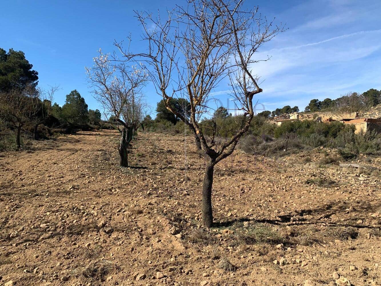 4 soveværelse Villa til salg i Almansa - € 179.950 (Ref: 8420875)