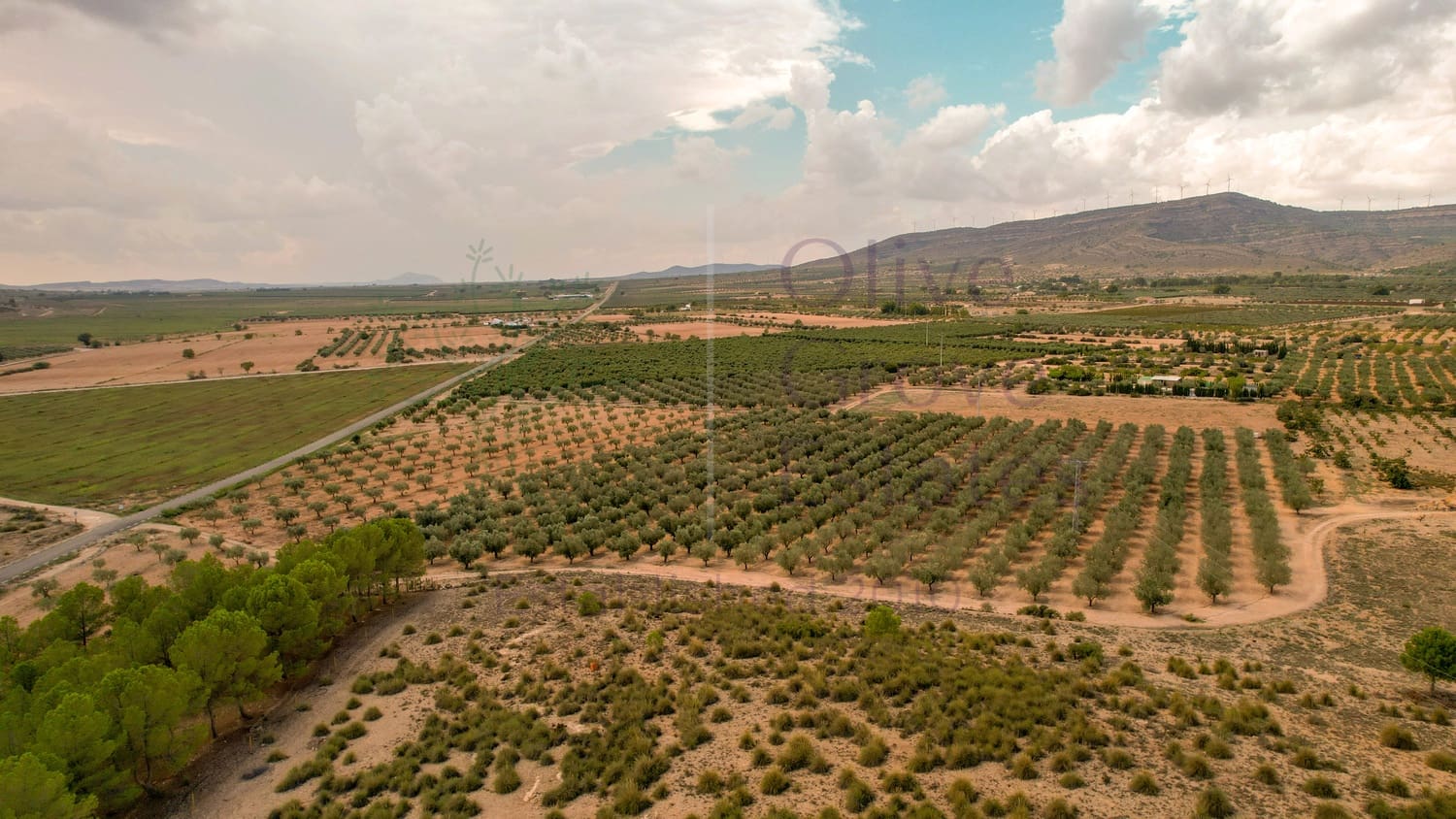 3 soveværelse Villa til salg i Caudete med swimmingpool garage - € 165.000 (Ref: 8506850)