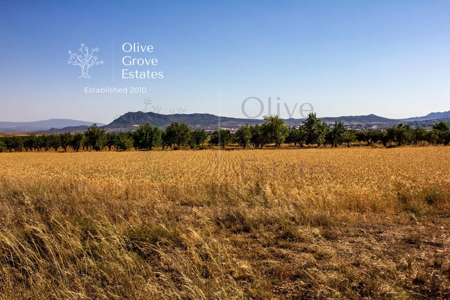 6 chambre Maison de Ville à vendre à Caudete - 449 950 € (Ref: 8669572)