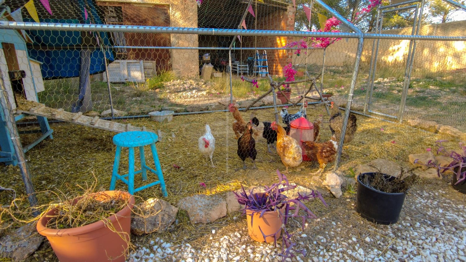 6 chambre Maison de Ville à vendre à Caudete - 449 950 € (Ref: 8669572)