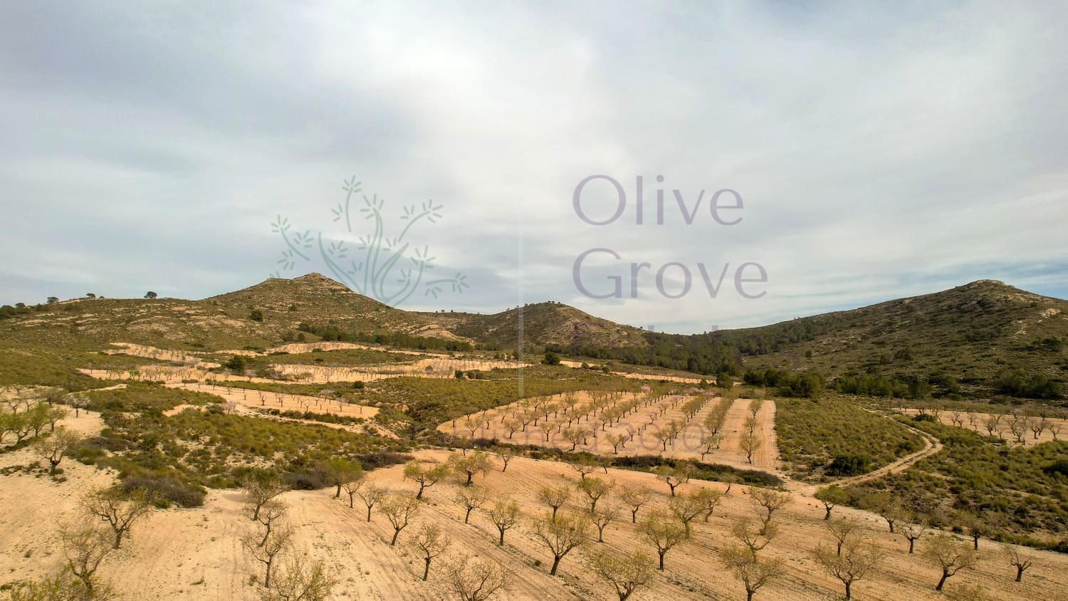 3 slaapkamer Finca/Landhuis te koop in Caudete - € 144.950 (Ref: 8820690)