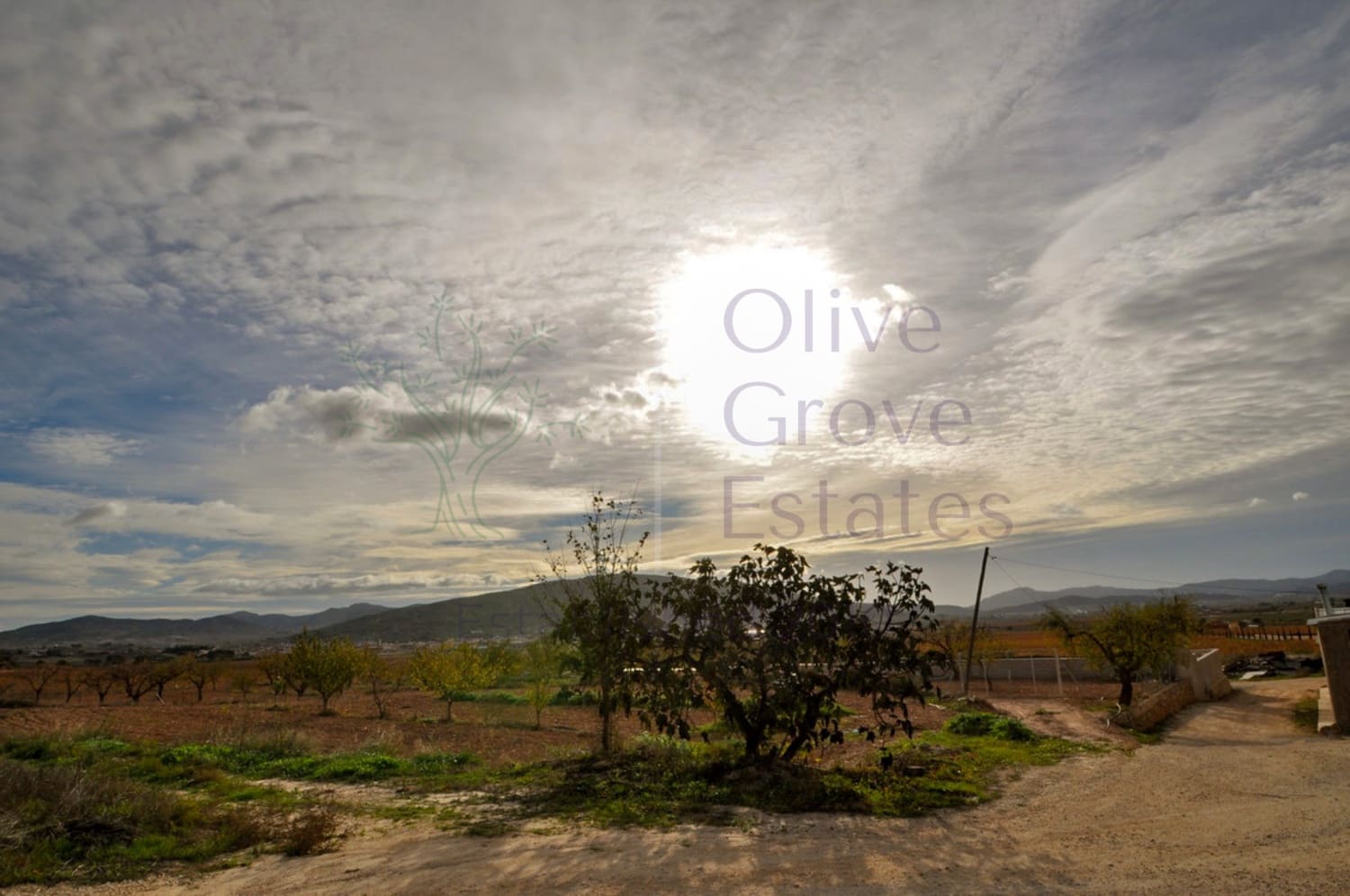 8 bedroom Villa for sale in Pinoso - € 199,950 (Ref: 8828897)