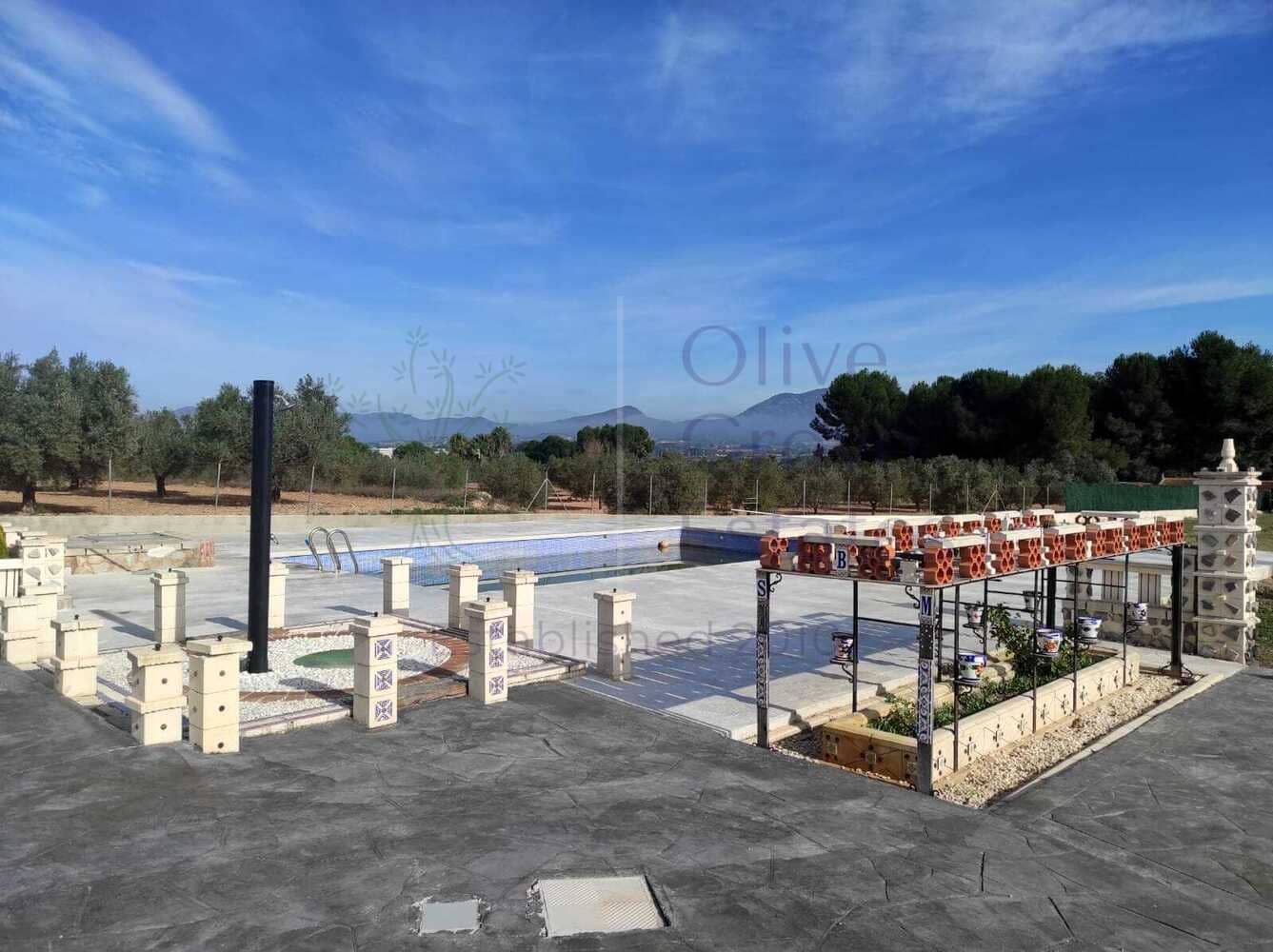 6 sypialnia Willa na sprzedaż w Sax z basenem - 459 000 € (Ref: 8838054)