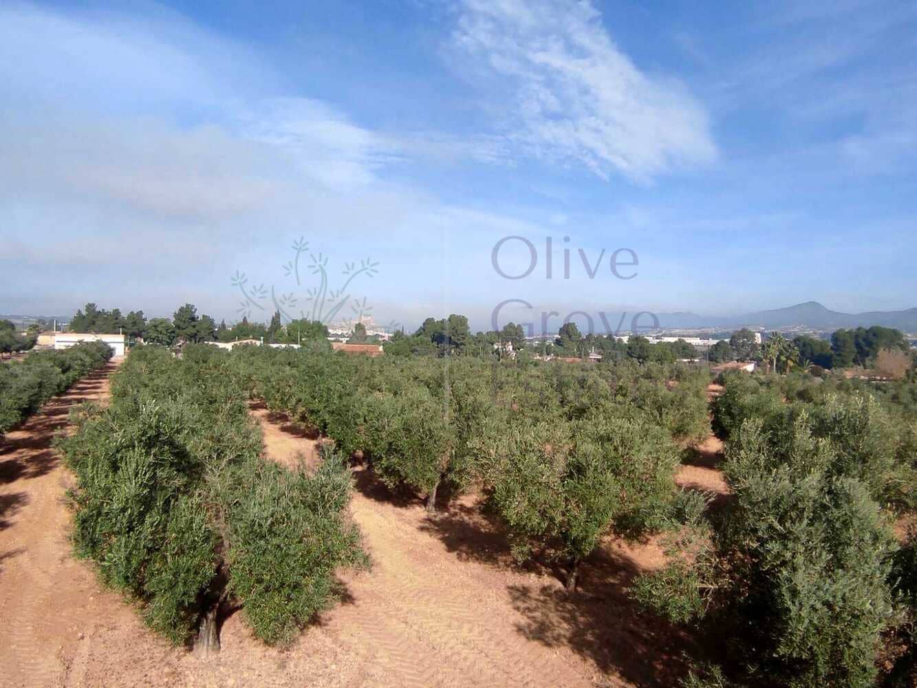 6 sypialnia Willa na sprzedaż w Sax z basenem - 459 000 € (Ref: 8838054)