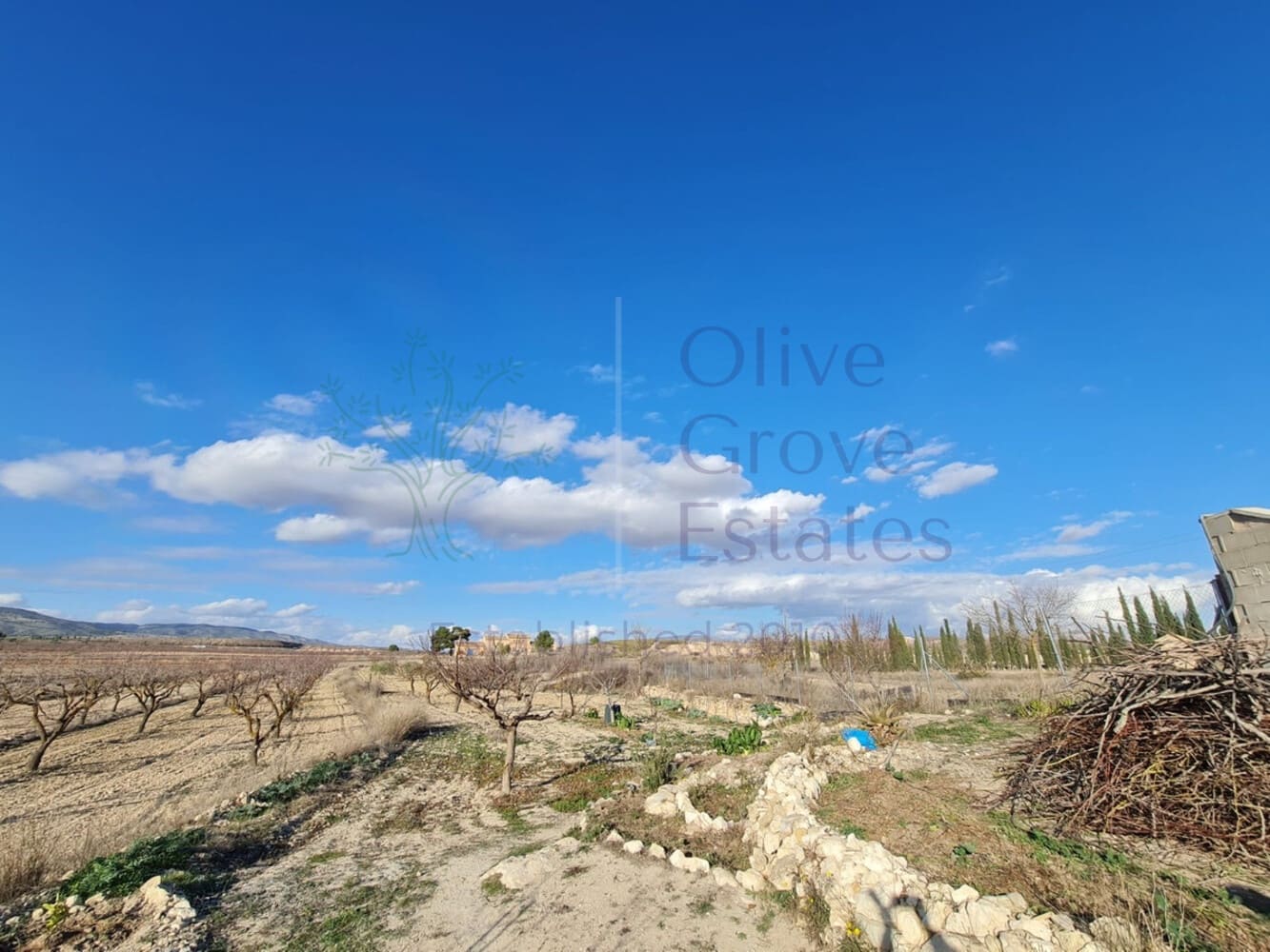 4 bedroom Villa for sale in Pinoso - € 219,950 (Ref: 8844089)