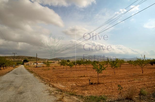 4 soverom Finca/Herregård til salgs i Pinoso - € 85 950 (Ref: 8853300)