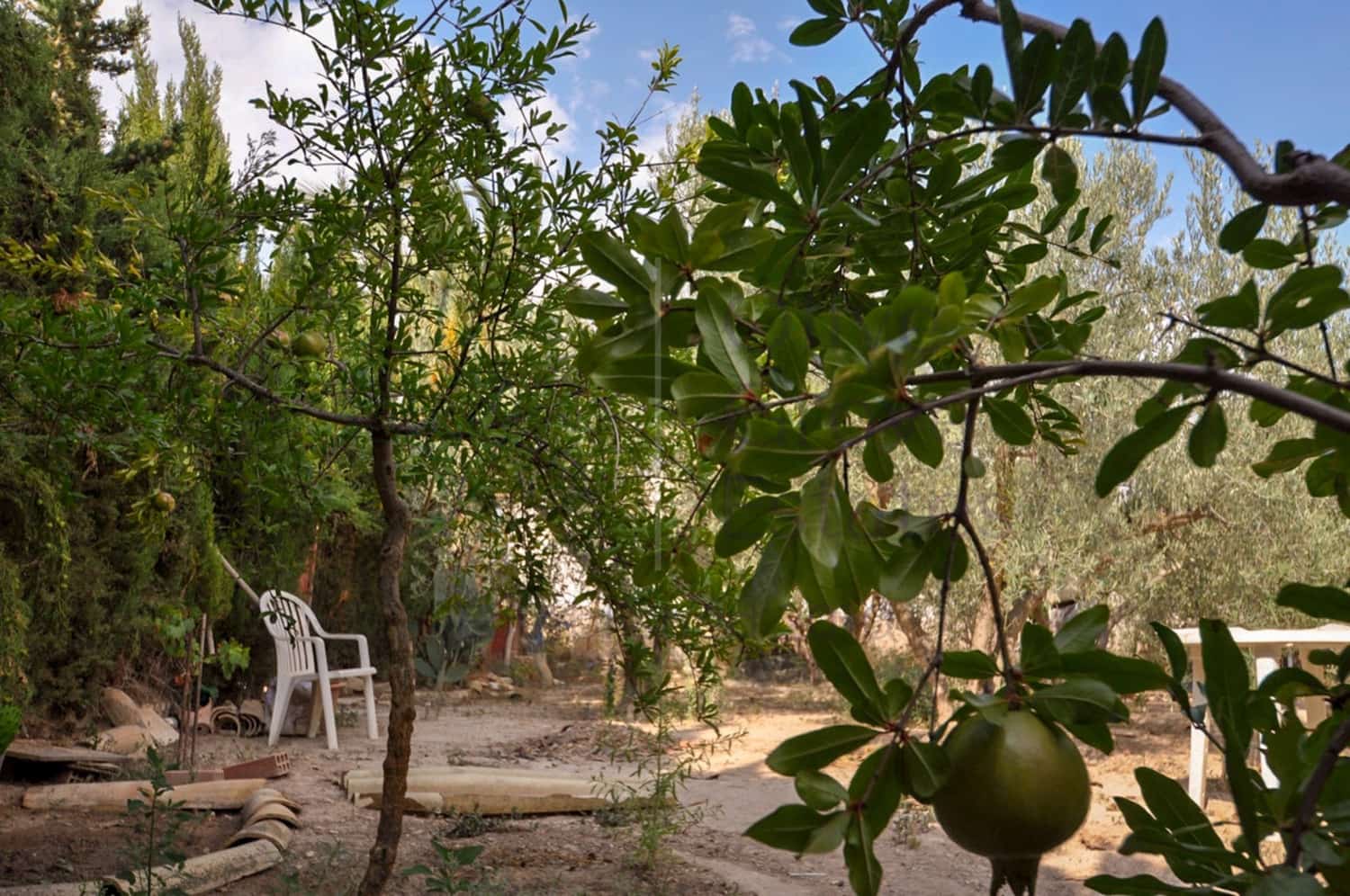 4 bedroom Finca/Country House for sale in Pinoso - € 85,950 (Ref: 8853300)