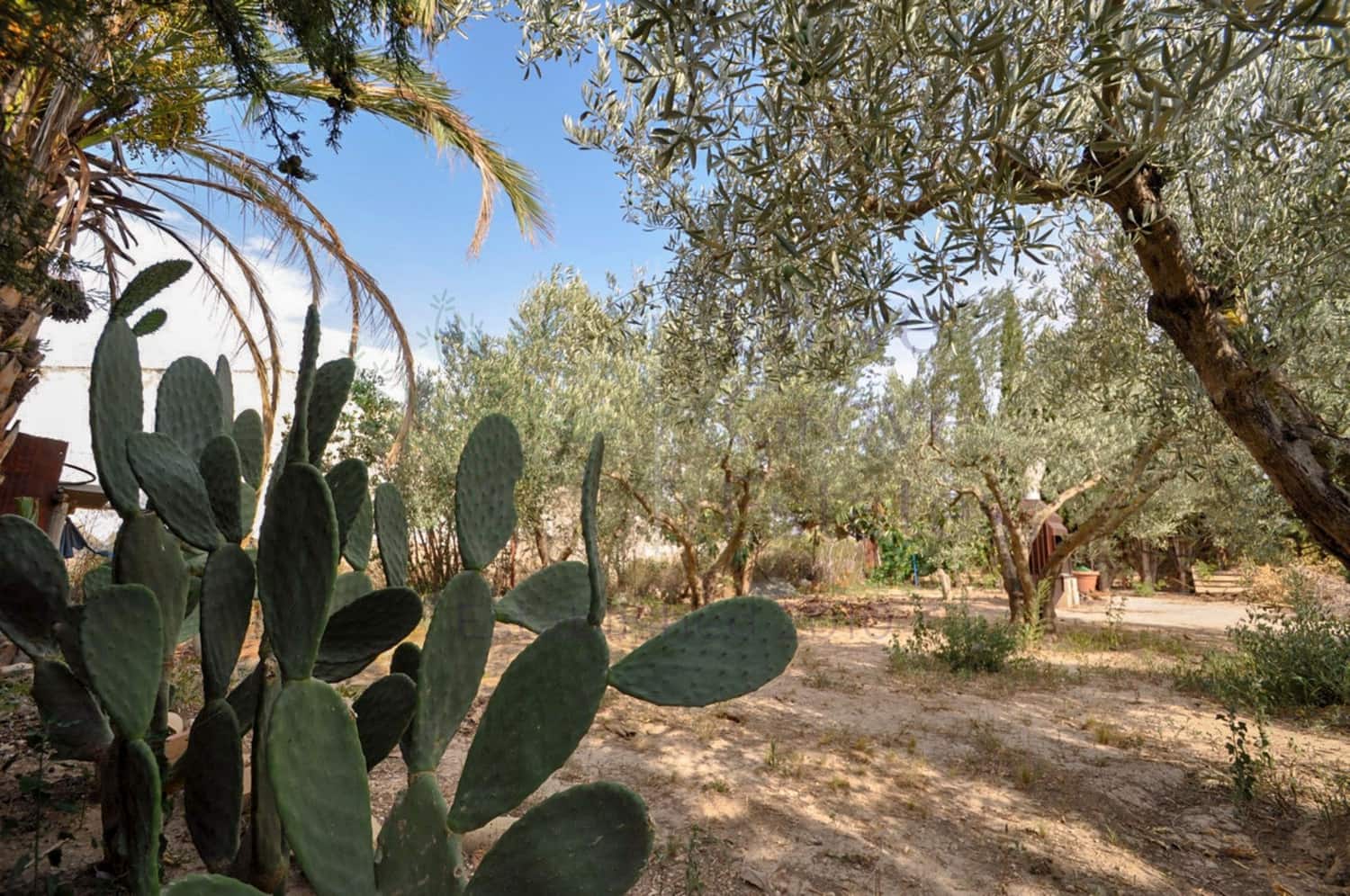 4 bedroom Finca/Country House for sale in Pinoso - € 85,950 (Ref: 8853300)