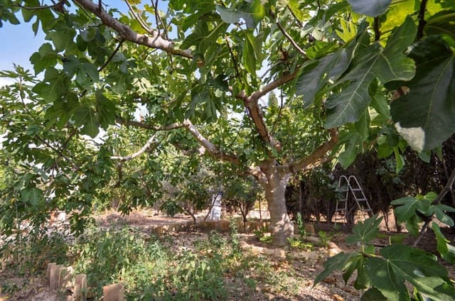 4 soverom Finca/Herregård til salgs i Pinoso - € 85 950 (Ref: 8853300)