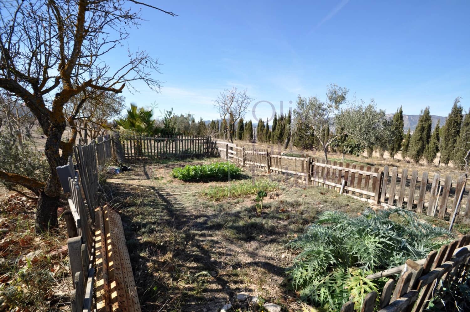 5 soverom Villa til salgs i Salinas - € 259 950 (Ref: 8857796)