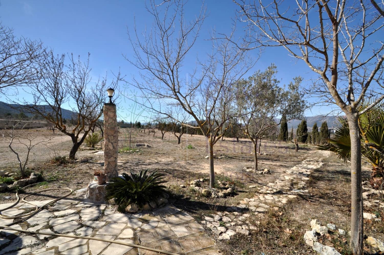 5 soverom Villa til salgs i Salinas - € 259 950 (Ref: 8857796)