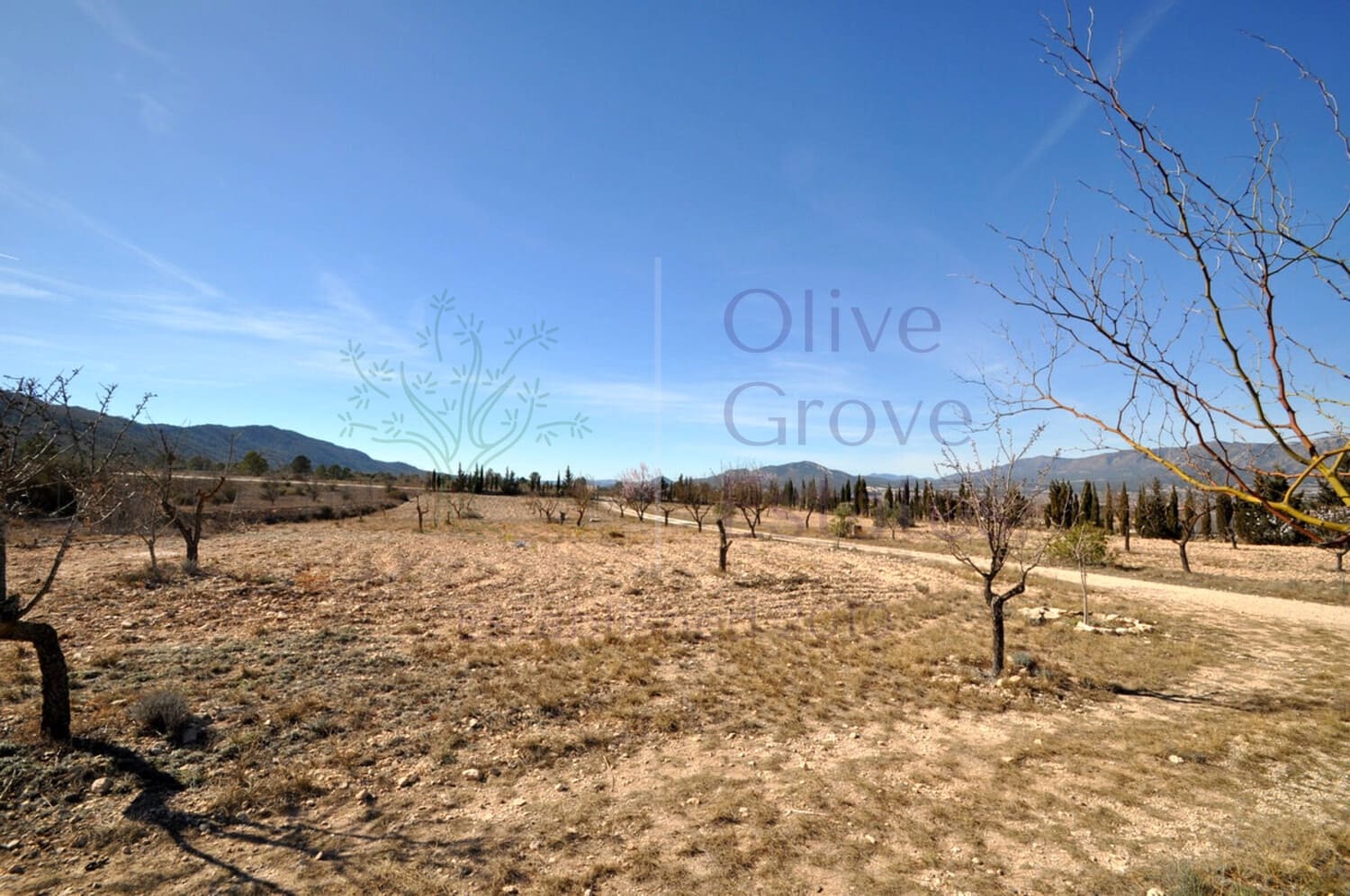 5 soverom Villa til salgs i Salinas - € 259 950 (Ref: 8857796)