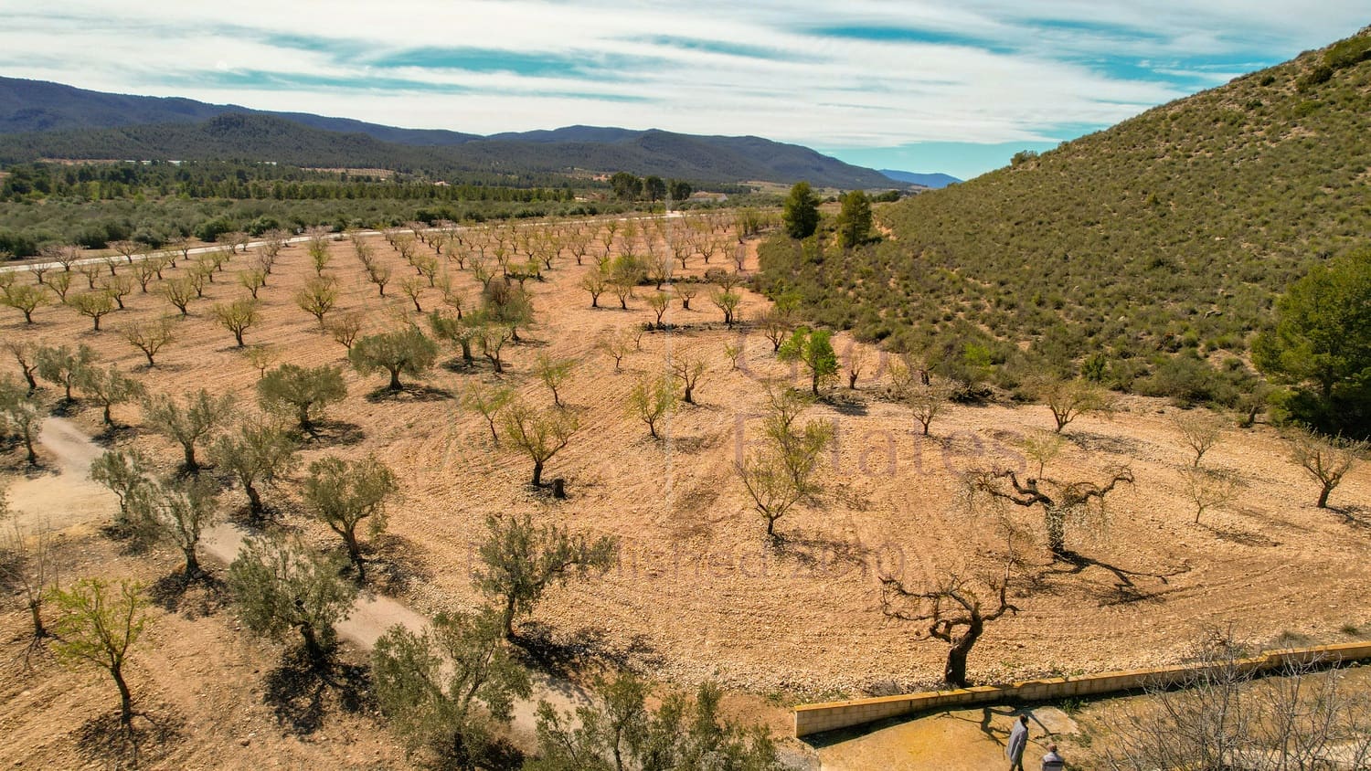 10 soveværelse Finca/Landehus til salg i Villena - € 179.995 (Ref: 8888961)