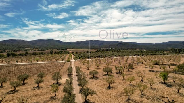 10 soveværelse Finca/Landehus til salg i Villena - € 179.995 (Ref: 8888961)