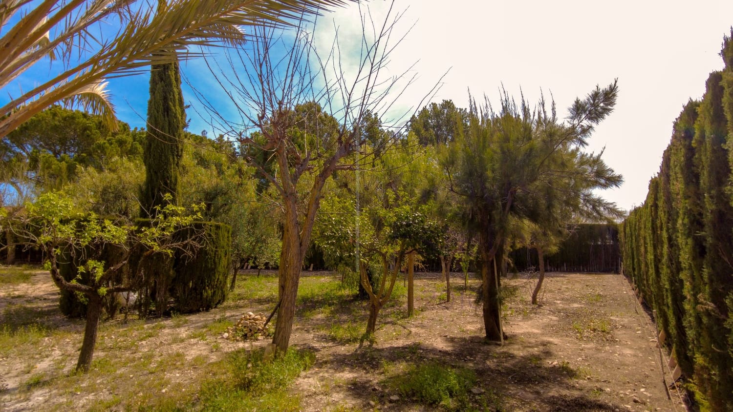 3 soveværelse Finca/Landehus til salg i Sax - € 249.925 (Ref: 8906934)