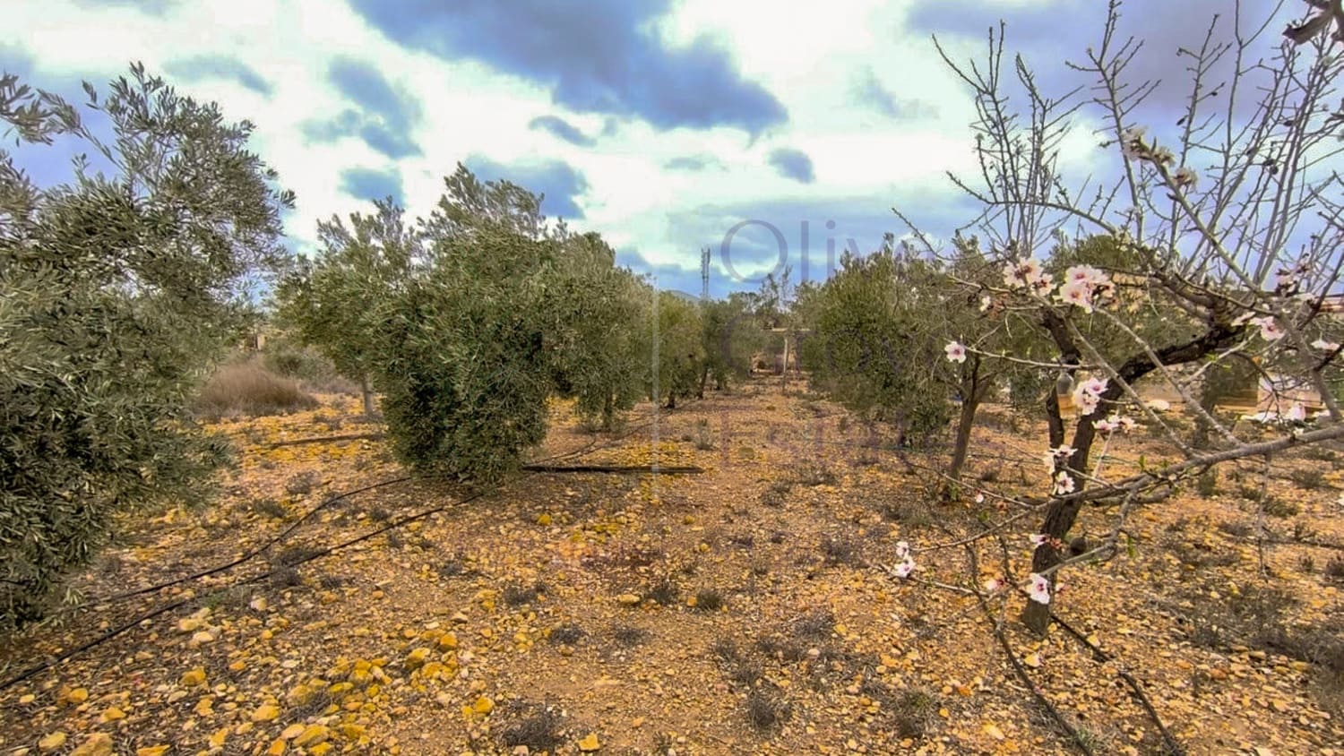 2 soveværelse Finca/Landehus til salg i La Romana - € 104.950 (Ref: 8907037)