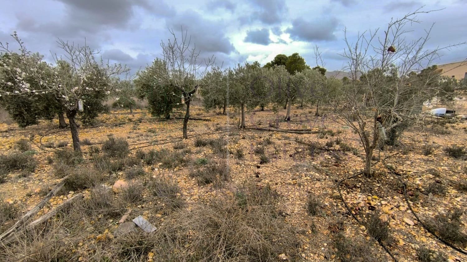 2 soveværelse Finca/Landehus til salg i La Romana - € 104.950 (Ref: 8907037)