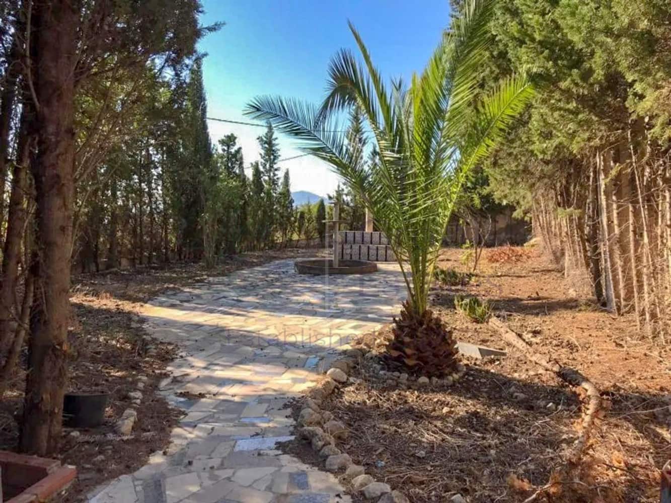 7 soveværelse Finca/Landehus til salg i Salinas - € 119.995 (Ref: 8910688)