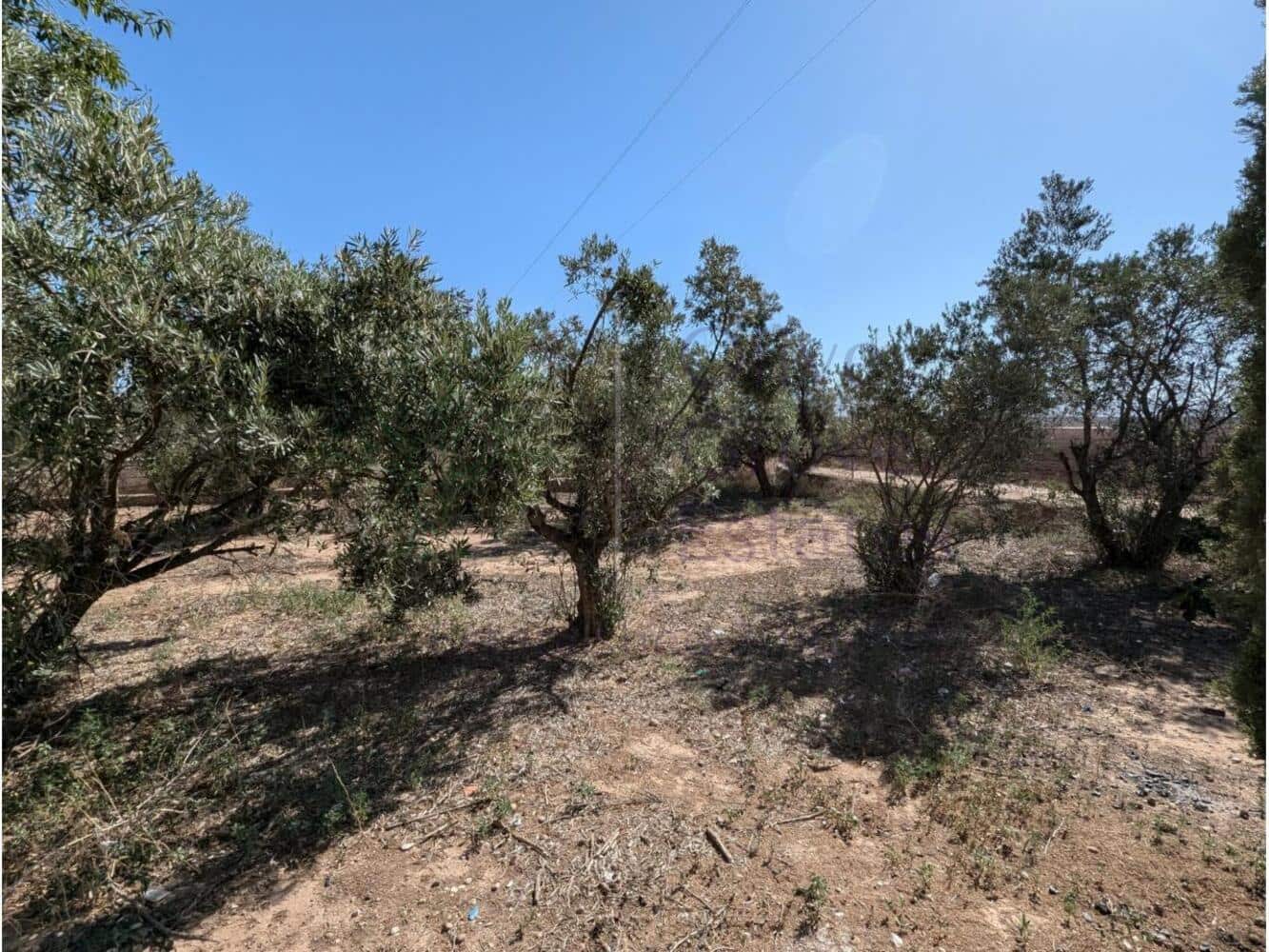 4 bedroom Finca/Country House for sale in Caudete - € 74,950 (Ref: 8914531)