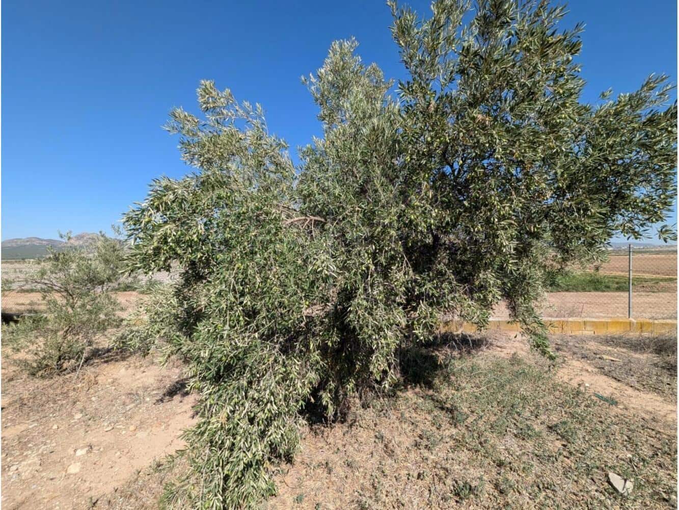 4 bedroom Finca/Country House for sale in Caudete - € 74,950 (Ref: 8914531)