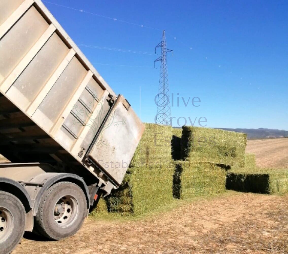 2 Zimmer Villa zu verkaufen in Zarra - 365.000 € (Ref: 8917483)