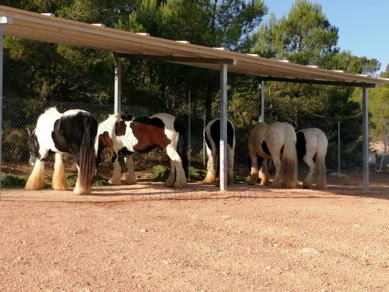 2 Zimmer Villa zu verkaufen in Zarra - 365.000 € (Ref: 8917483)