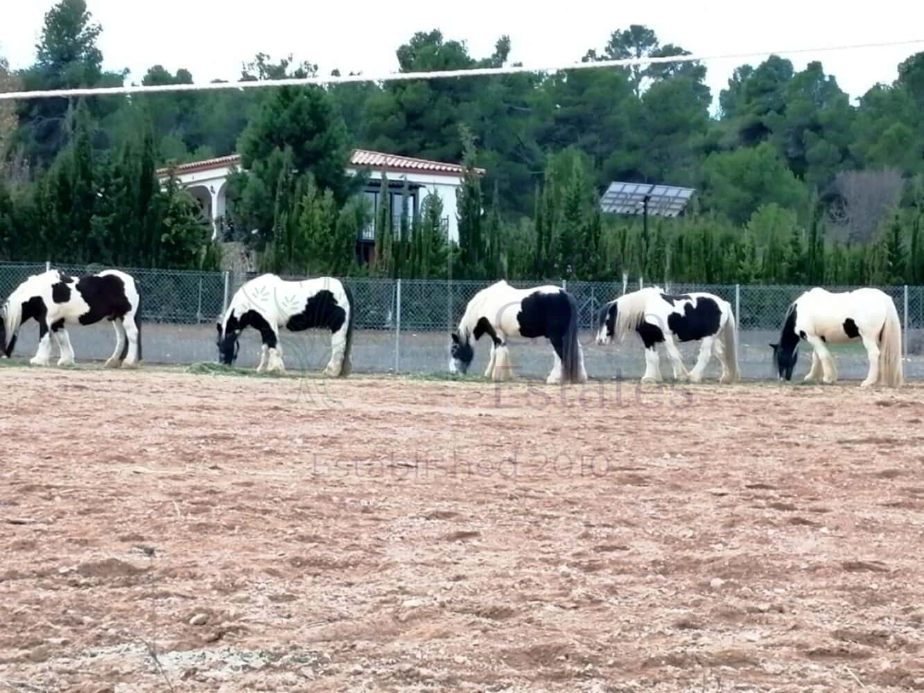 2 Zimmer Villa zu verkaufen in Zarra - 365.000 € (Ref: 8917483)