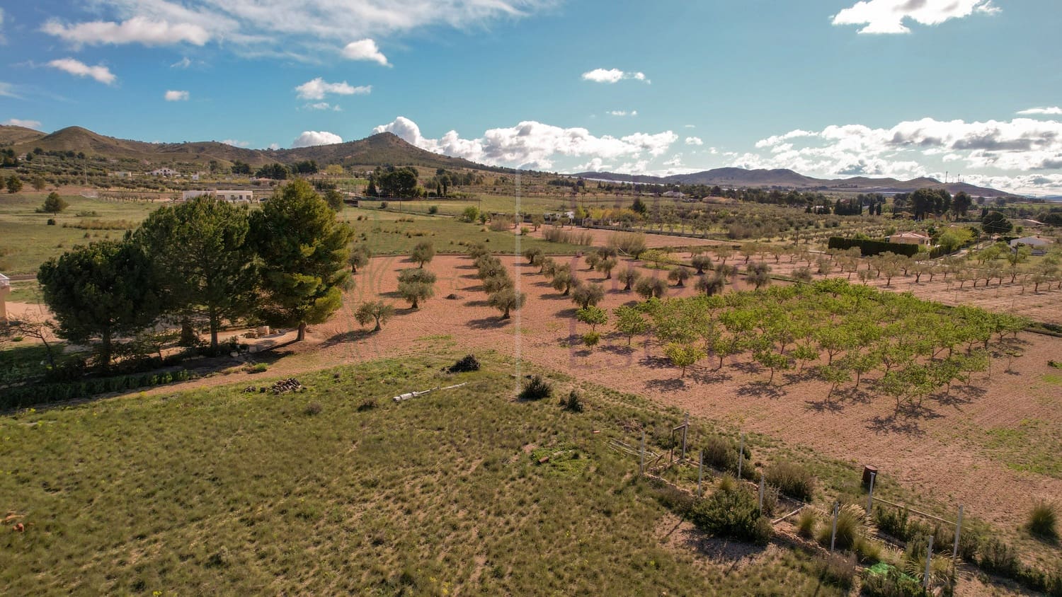 7 soveværelse Villa til salg i Yecla - € 419.950 (Ref: 8931001)