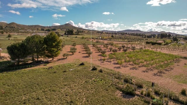 7 soveværelse Villa til salg i Yecla - € 419.950 (Ref: 8931001)