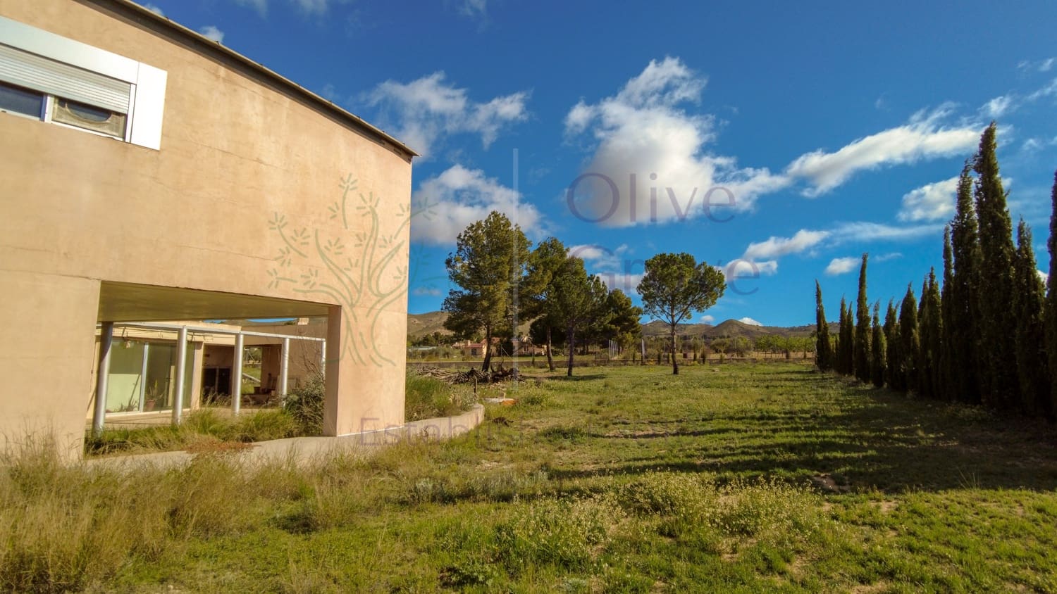 7 soveværelse Villa til salg i Yecla - € 419.950 (Ref: 8931001)