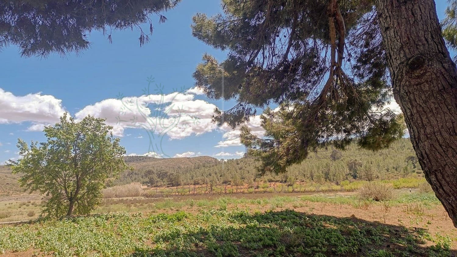 6 soverom Finca/Herregård til salgs i Yecla - € 79 000 (Ref: 8953774)