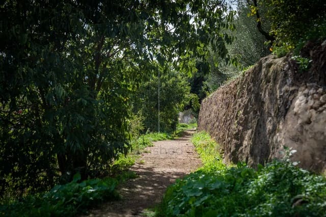 8 bedroom Townhouse for sale in Cocentaina - € 299,950 (Ref: 9038304)