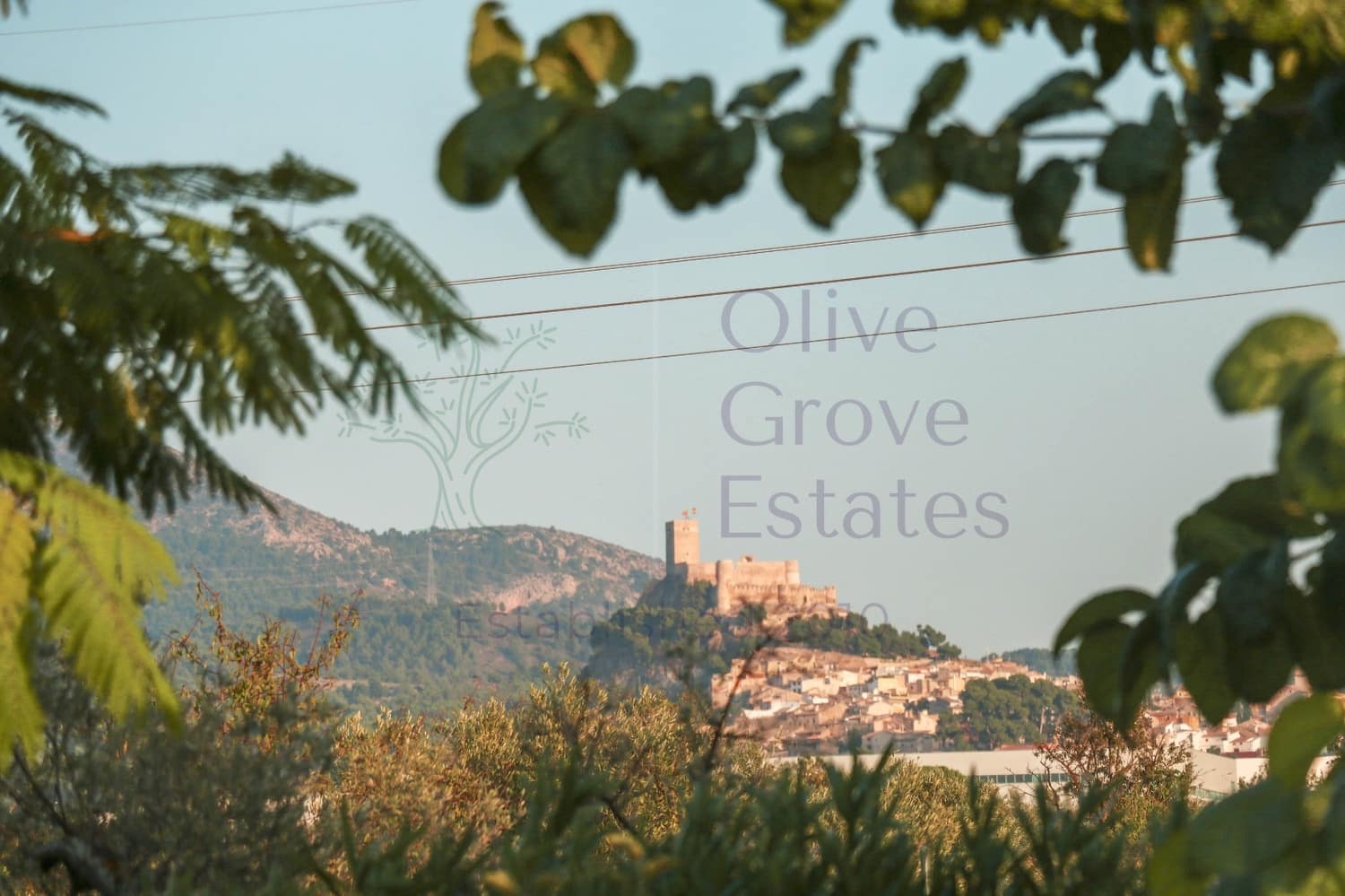 5 sypialnia Willa na sprzedaż w Biar - 499 000 € (Ref: 9153022)